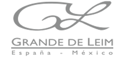 Logo carrusel